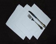 N2300 Dinner Napkins 1-4 Fold
